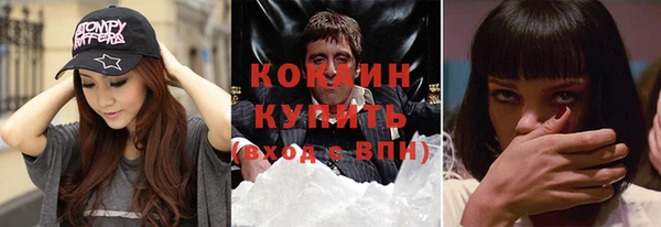шишки Козельск